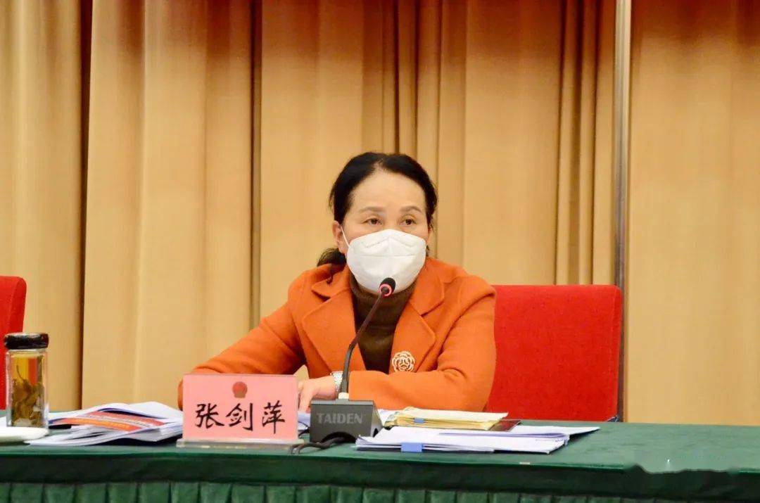 大理州代表团审议省政府工作报告审查其他报告 杨国宗陈真永张剑萍