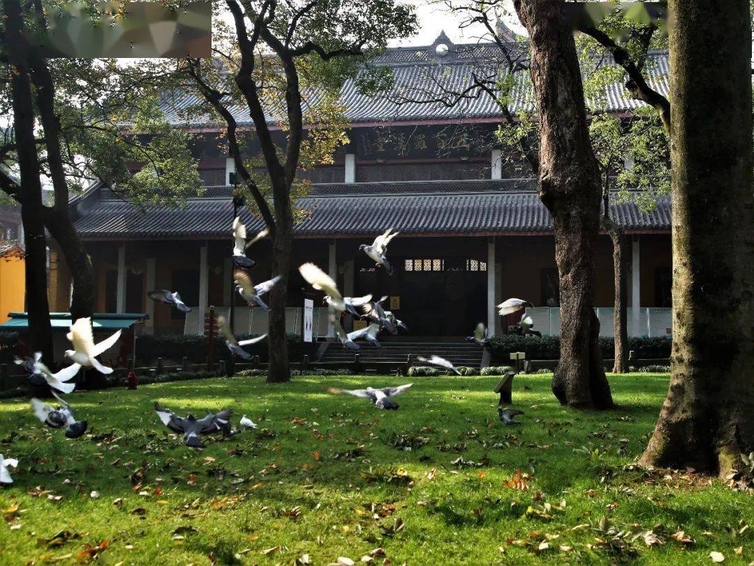 开示|圆瑛法师:提倡素食聚餐会_世界_佛教_灵隐寺