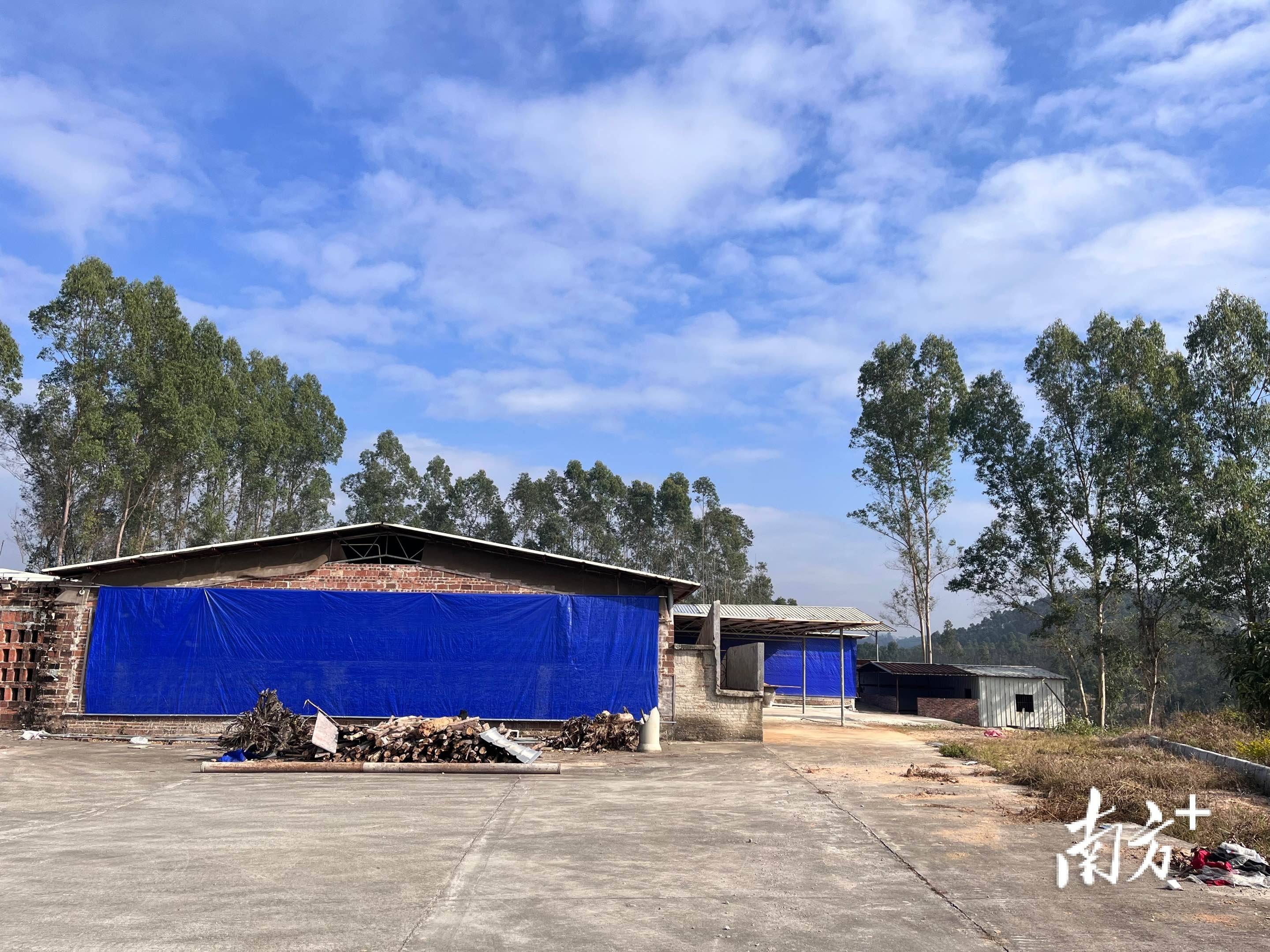 廉江这样做→_养殖_石角镇_水源