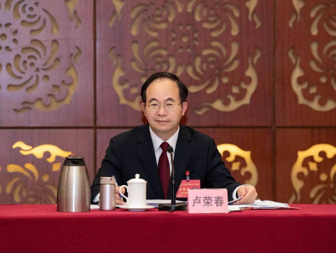 省人大代表,云浮市委书记卢荣春:突出县域,镇域经济"双轮驱动"