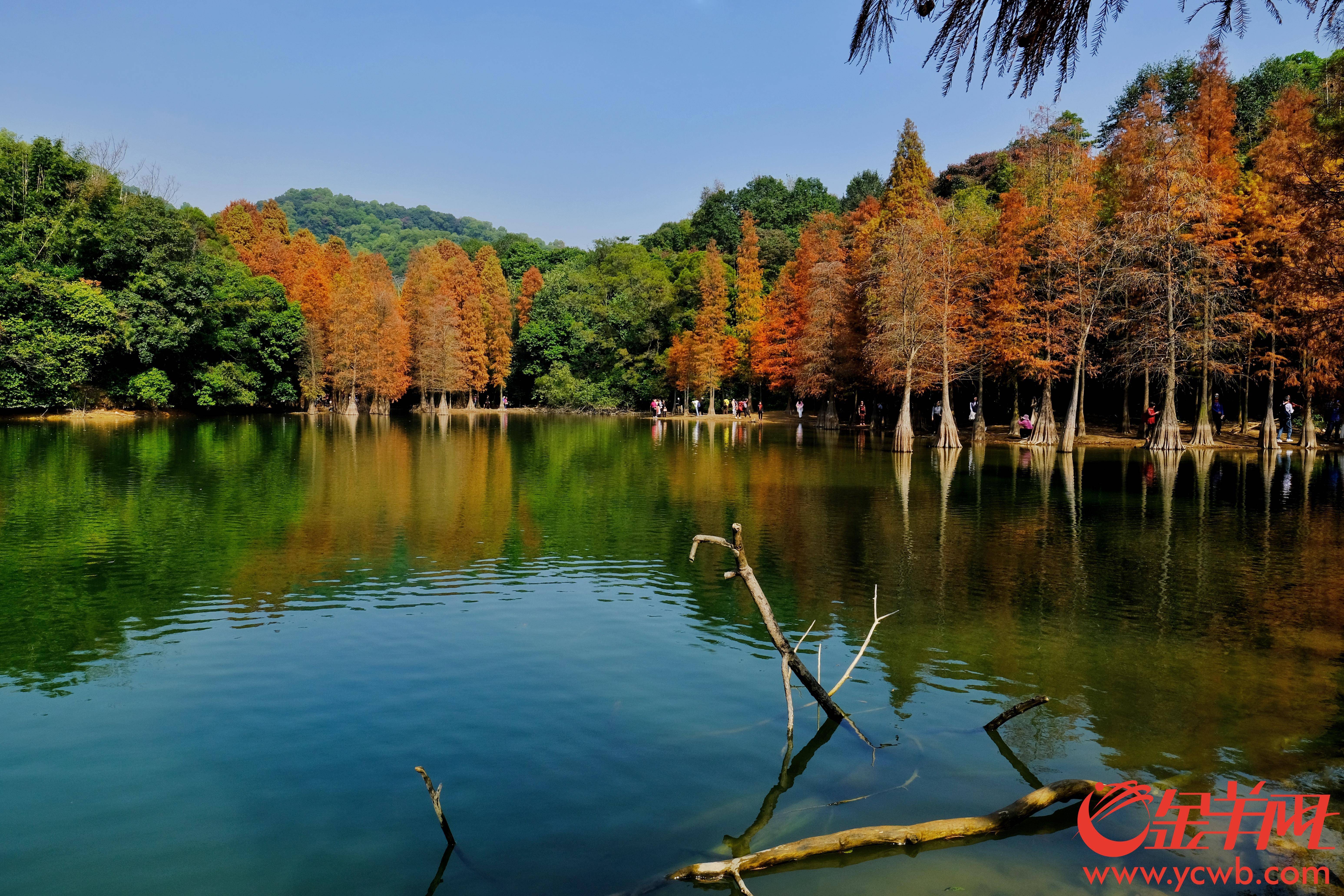 广州市白云区旅游景点图片