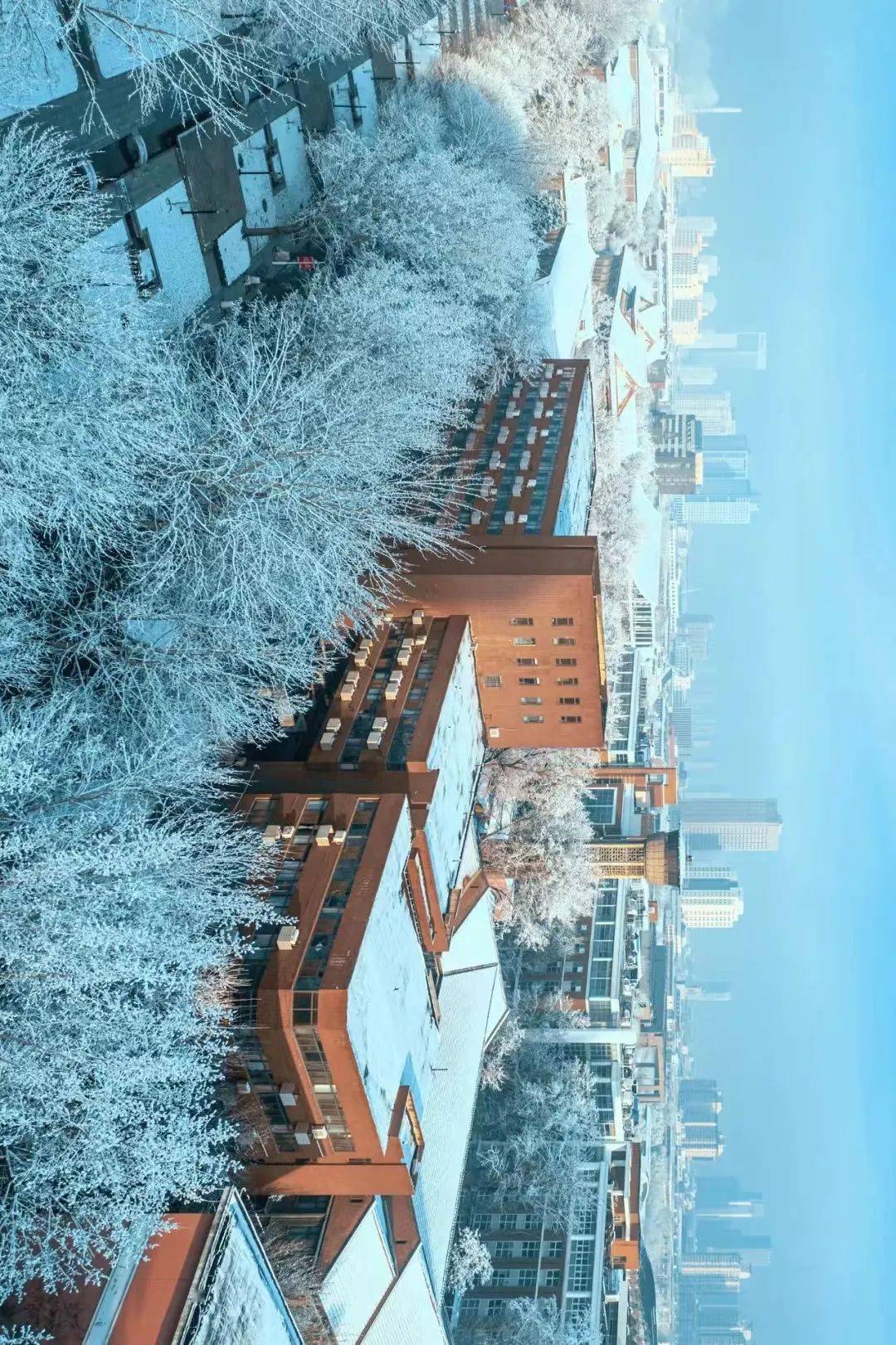 长春理工大学雪景图片