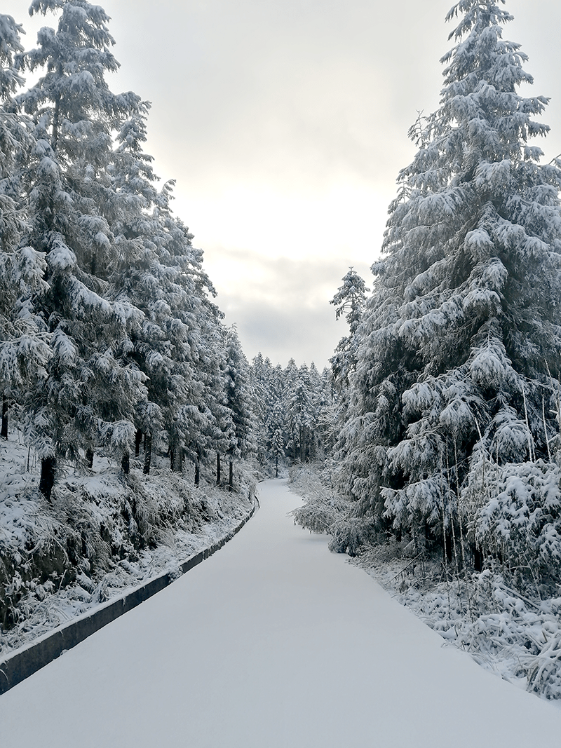 大部分地方有雨夾雪或小雪,高海拔地區有小雪或中雪,日平均氣溫將繼續