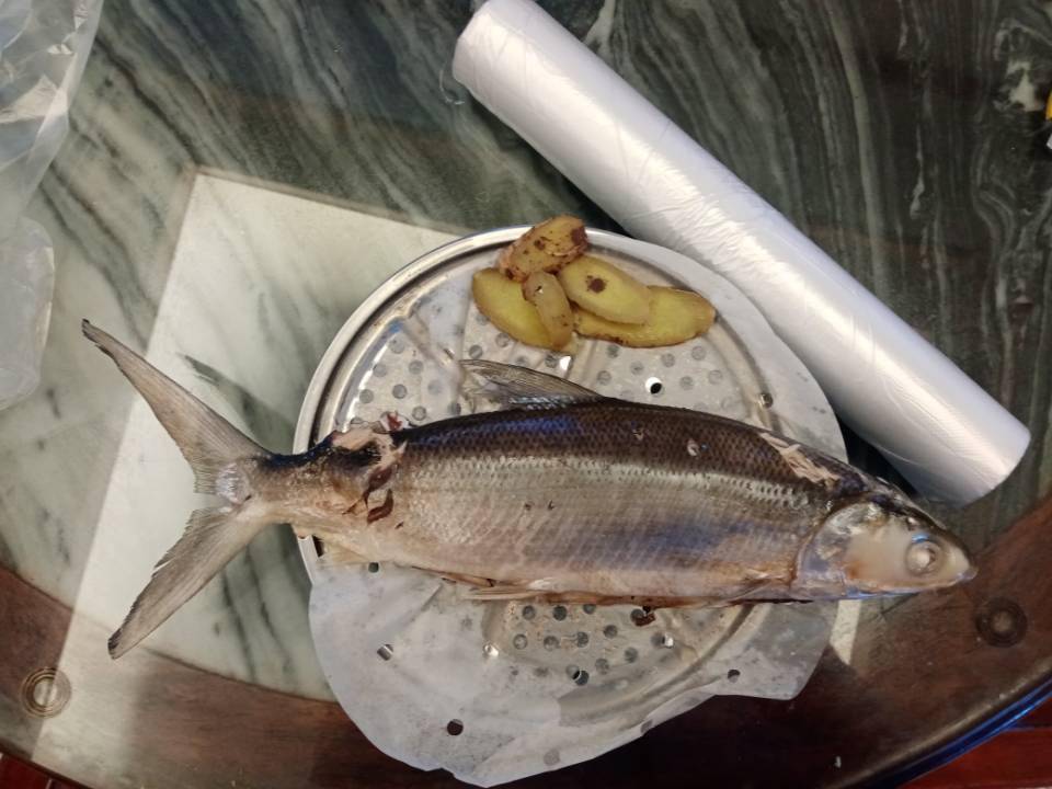 海的味道我知道——清蒸虱目鱼_鱼刺_鱼身_时候