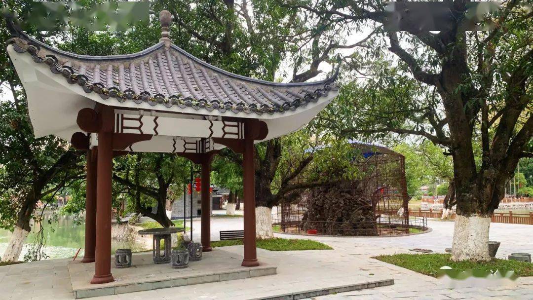 高州潘州公园改造完成对外开放,春节假期必打卡的地方!