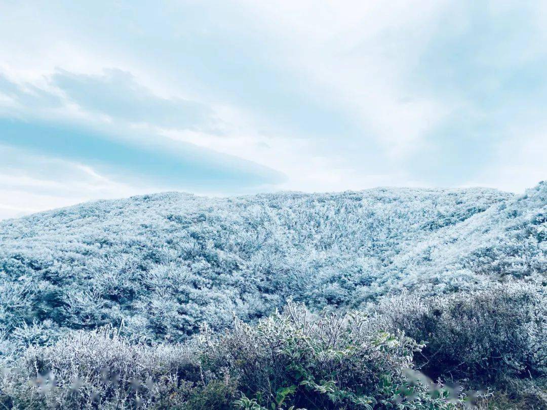 石城八卦脑:银装素裹迎客来_美景_雪花_冰雪