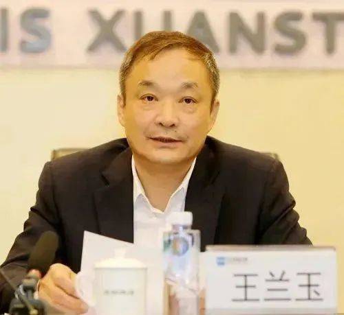 【今日关注】冀南钢铁董事长王树华,河钢总经理王兰玉当选十四届全国