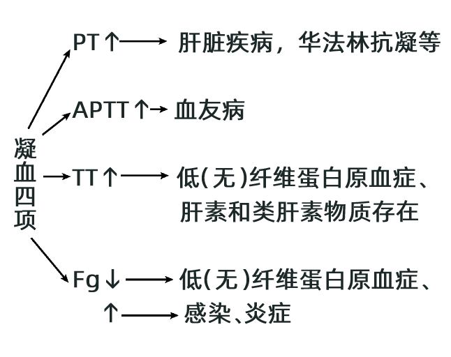 凝血四项报告单图片