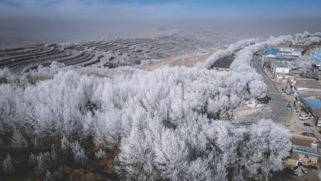 雾凇奇观 美如画卷_兰州_北山_韦营乡