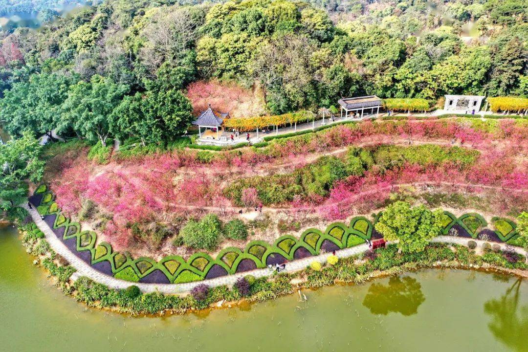 桃花南海大地艺术节梳理划分为西樵山,听音湖,平沙岛,太平墟,松塘村