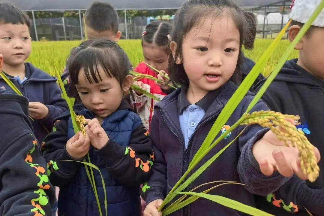 【協和園長近距離】龍柏西郊顧燕華:我與龍柏西郊幼兒園的二十年_發展