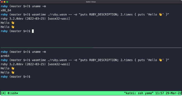 WASM 原生时代已经到来 | 解读 WebAssembly 的 2022