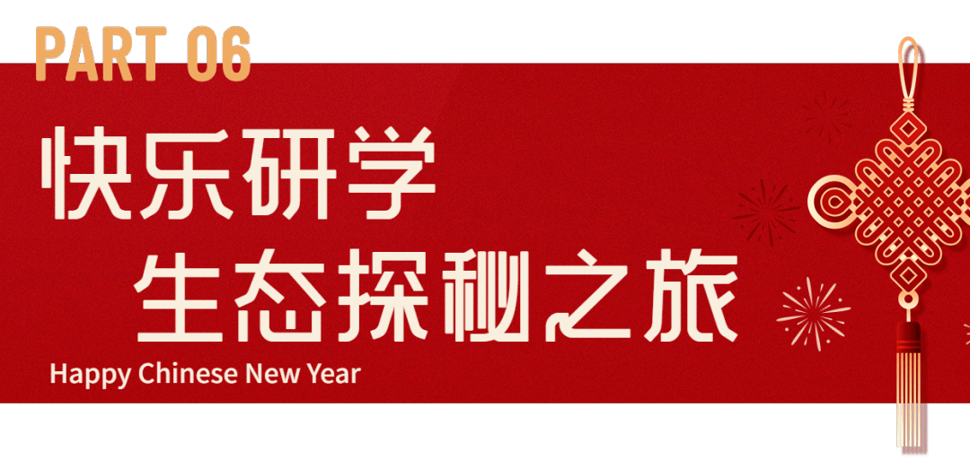 七大主题！在海口过春节，能够如许玩......