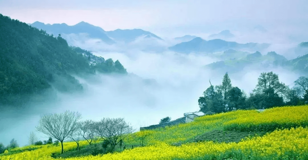 《为你诵读》《望春 》、《大地之女》