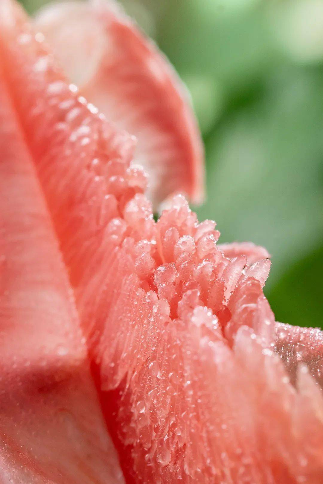 132张养眼壁纸任你换,看一眼就治愈了!