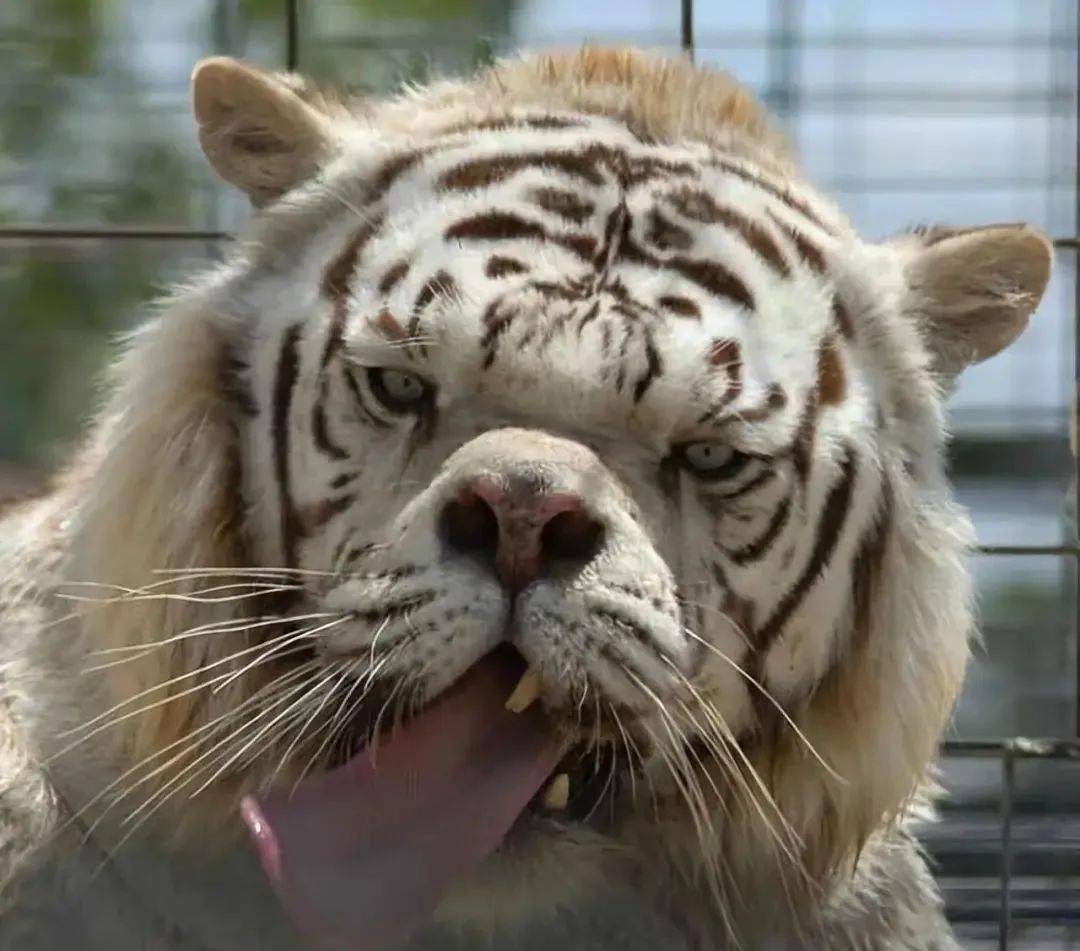 40张照片让人感到奇怪的恐惧._什么_东西_窗户