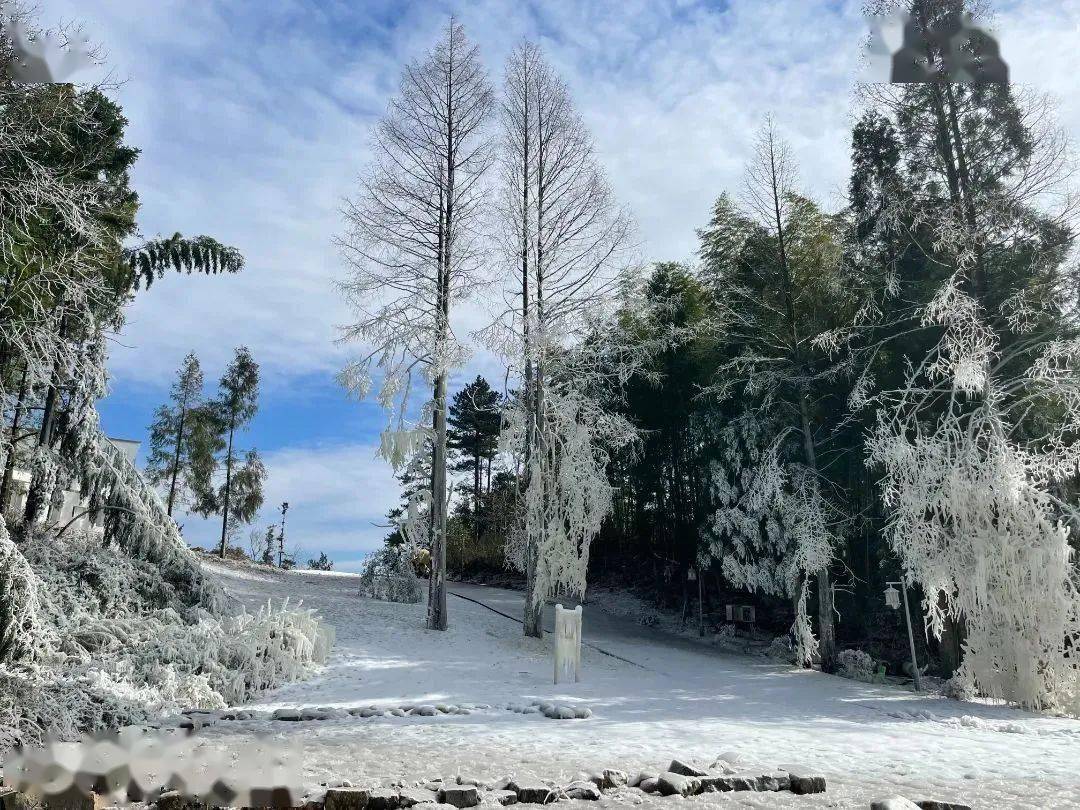 【冬季玩雪季】温州永嘉四海山庄 娱雪套餐儿童票39.