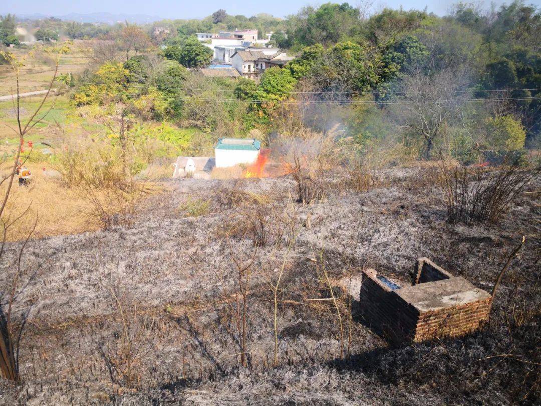 男子扫墓祭祖点燃蜡烛纸钱不慎引发山火_梅州_违法_五华县
