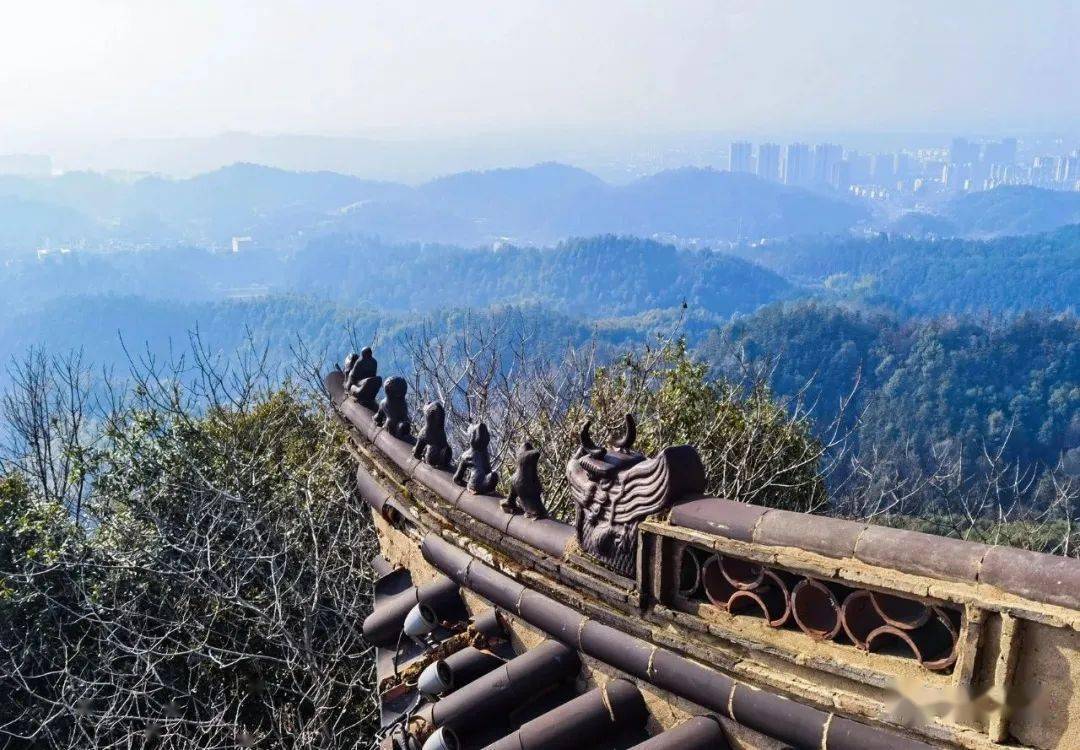 上饶:云碧峰森林公园_摄影_城市_天水