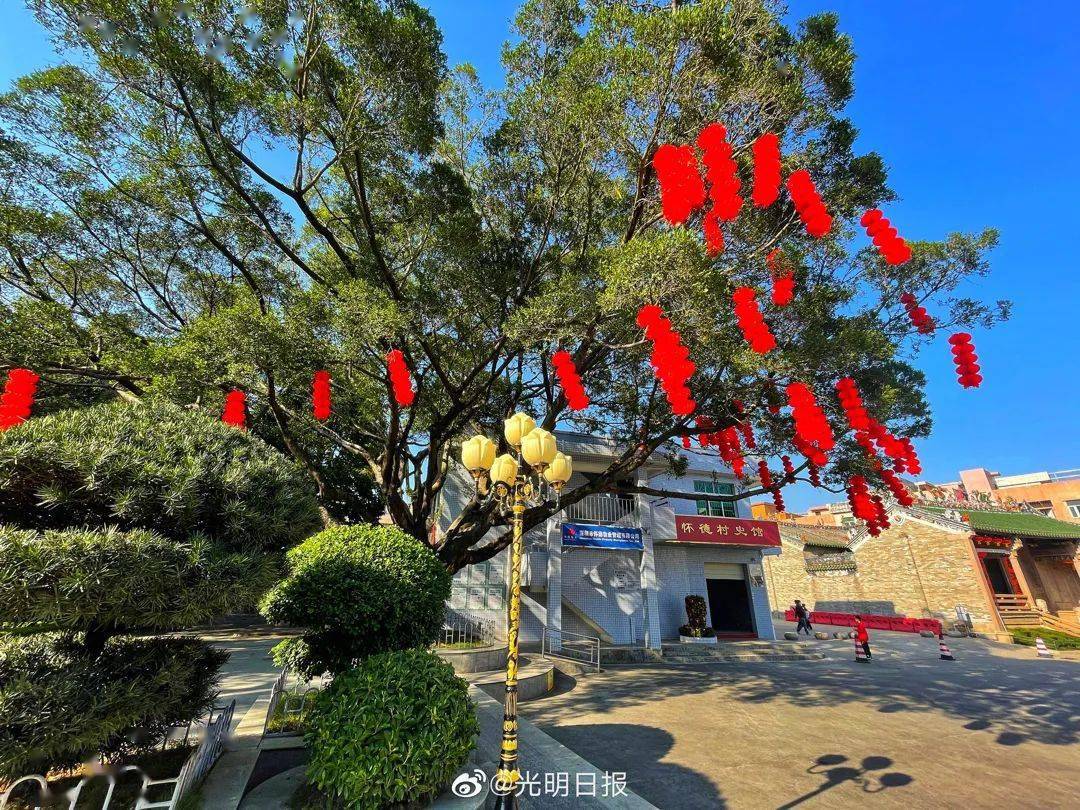 光明日报头版|喜气盈盈怀德村_醒狮_陈立龙_村民