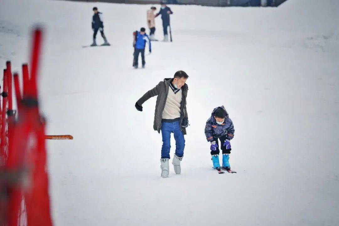 常州龙凤谷四季滑雪场在年前进行了场地,设施升级,吸引了众多滑雪