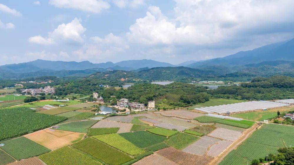 一把手访谈⑤博罗长宁:以务实笃行的"基层"力量 打造健康旅游精品镇