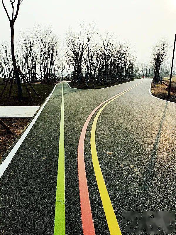 淮阳有些景区道路为什么会有红黄蓝三条线?它们代表什么意思?