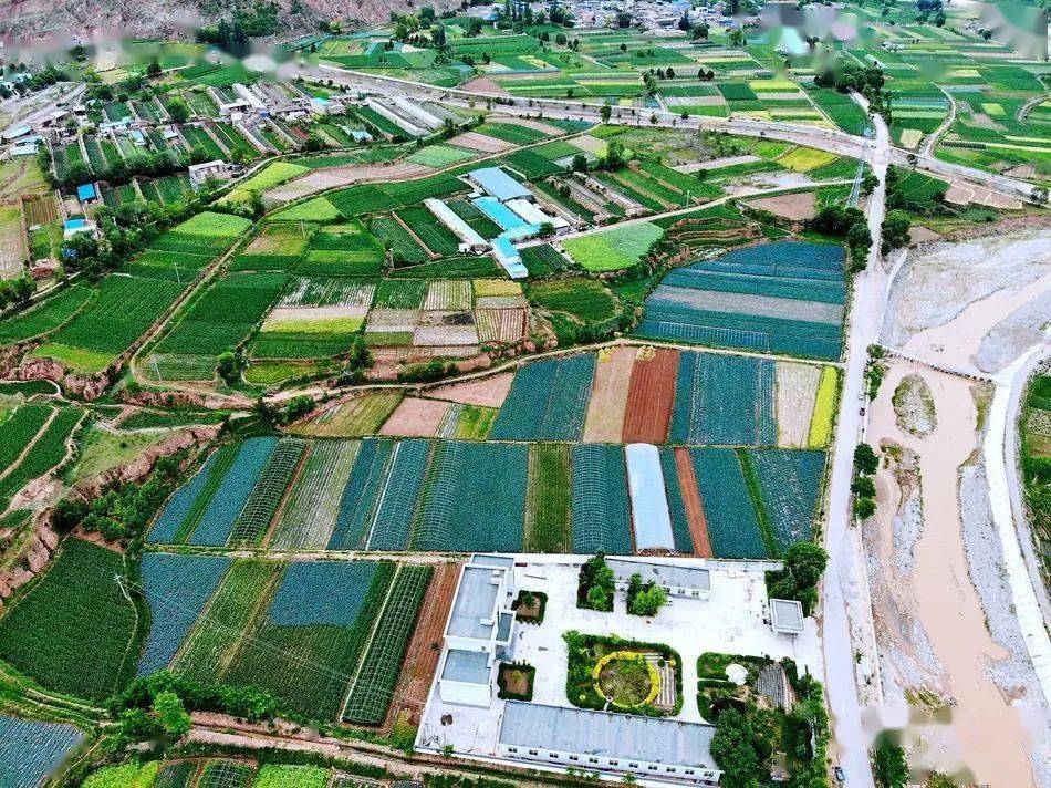 武山县高楼镇:富民产业遍地开花 美丽乡村生机勃勃_发展_建设_种植