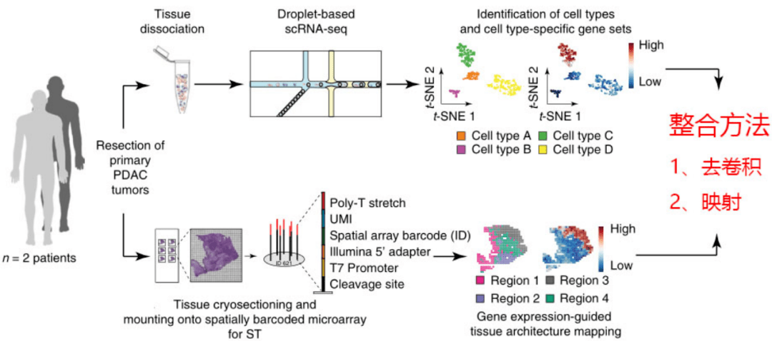 未来已来—单细胞测序联合空间转录组测序（整合篇）_类型_scRNA-seq_方法