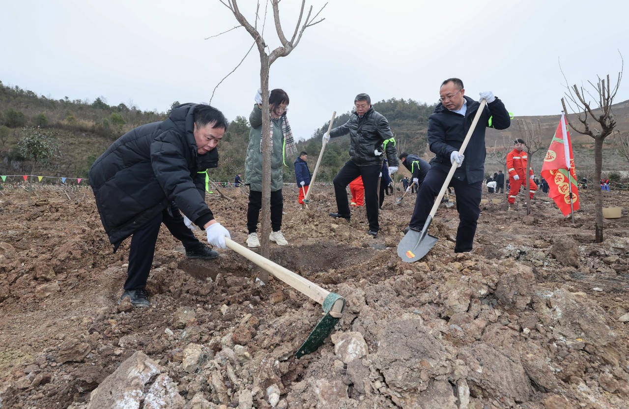 云岩区2023年义务植树活动举行 王启云 王黔 杨晓阳 张洪参加_全区