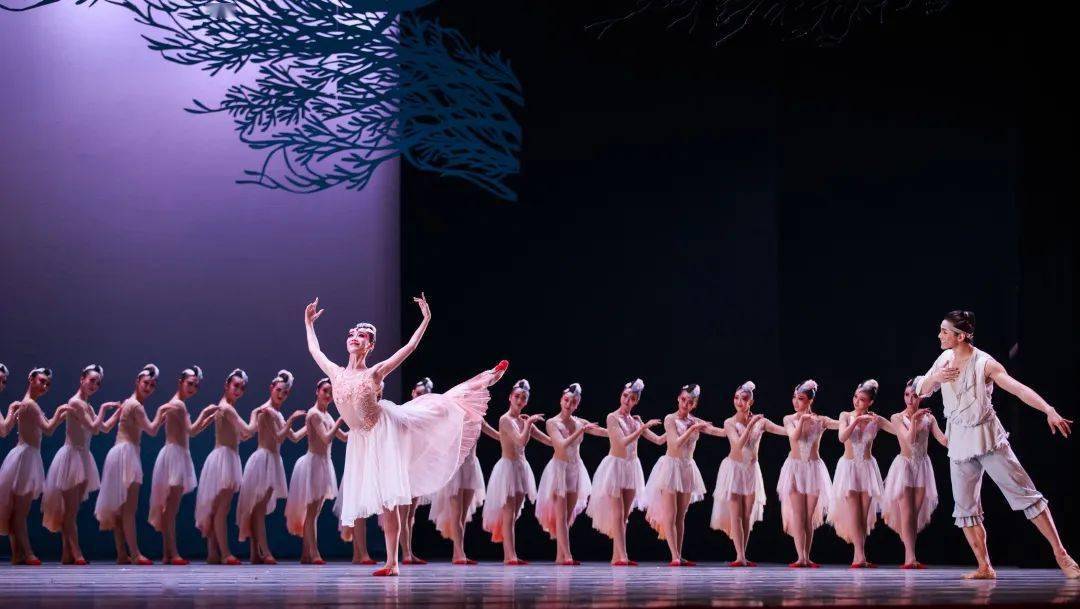 春晚舞剧 |《朱鹮》每一帧都是一幅画_演出_人类_吉祥