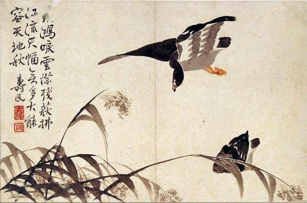 古人眼中的千雁成行太壮观了_大雁_局部_芦苇