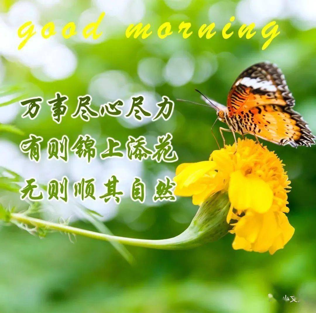 朋友,忙碌的日子里,别忘了照顾好自己!_人生_事情_方式