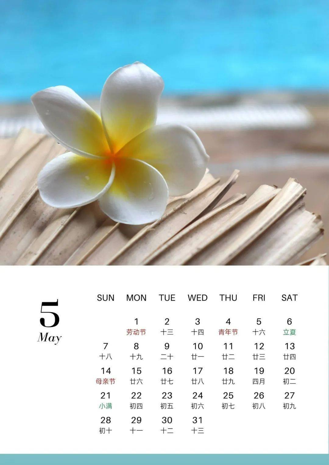 时间清浅劳动节,青年节和母亲节在这个月即将迎来五月是色彩缤纷的"