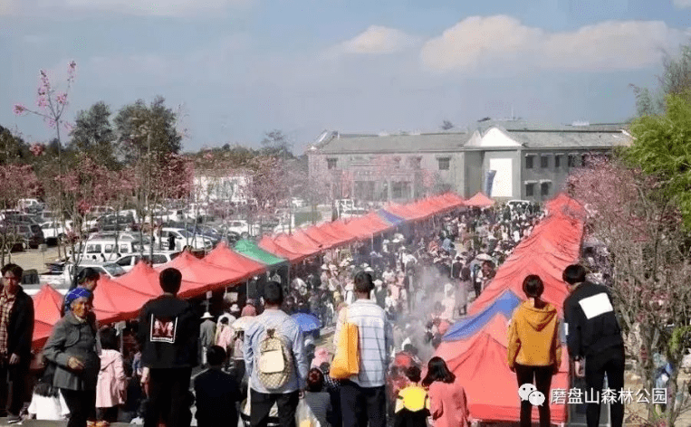 喜乐元宵游玉溪丨快来！正月十六，磨盘山美食集市上演美食与美景的碰碰！