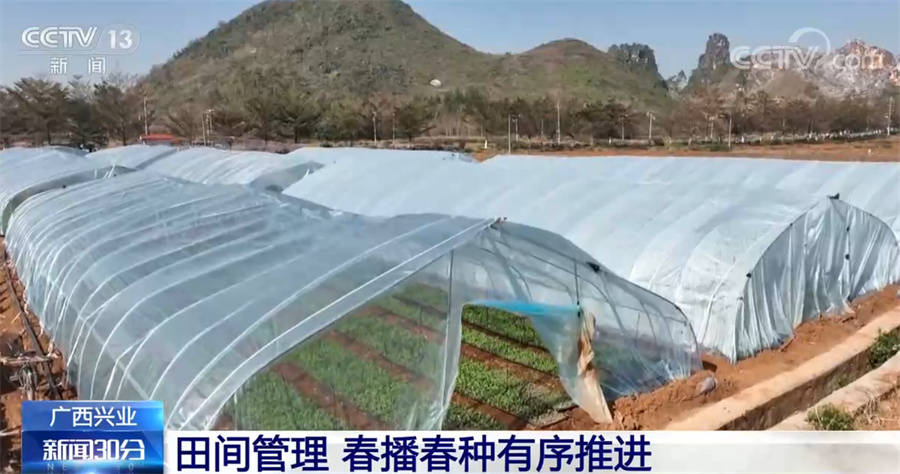 湖南省桃源县抖音_湖南抖音官方_抖音桃源生活是真的吗