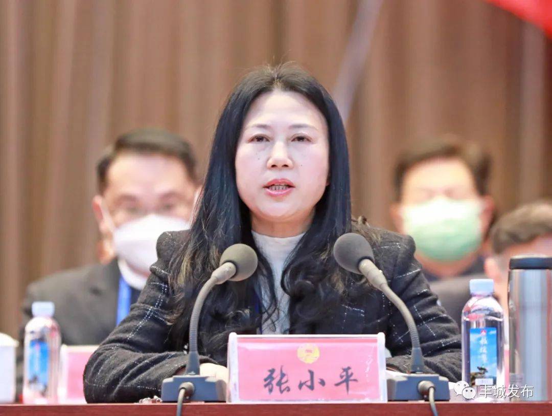 政协丰城市第九届委员会第三次会议胜利闭幕_协商_建设_大会堂