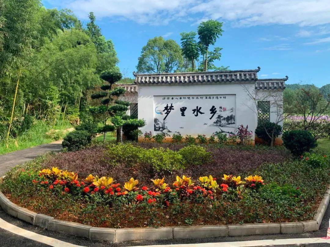 王港港口:"宅改"激活乡村振兴新活力_发展_村民_集体