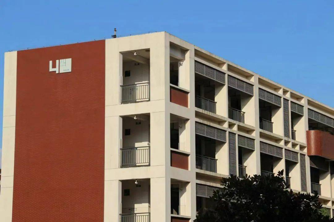 感恩母校行(78)|走进浙江省宁波市五乡中学_活动_进行了_学弟