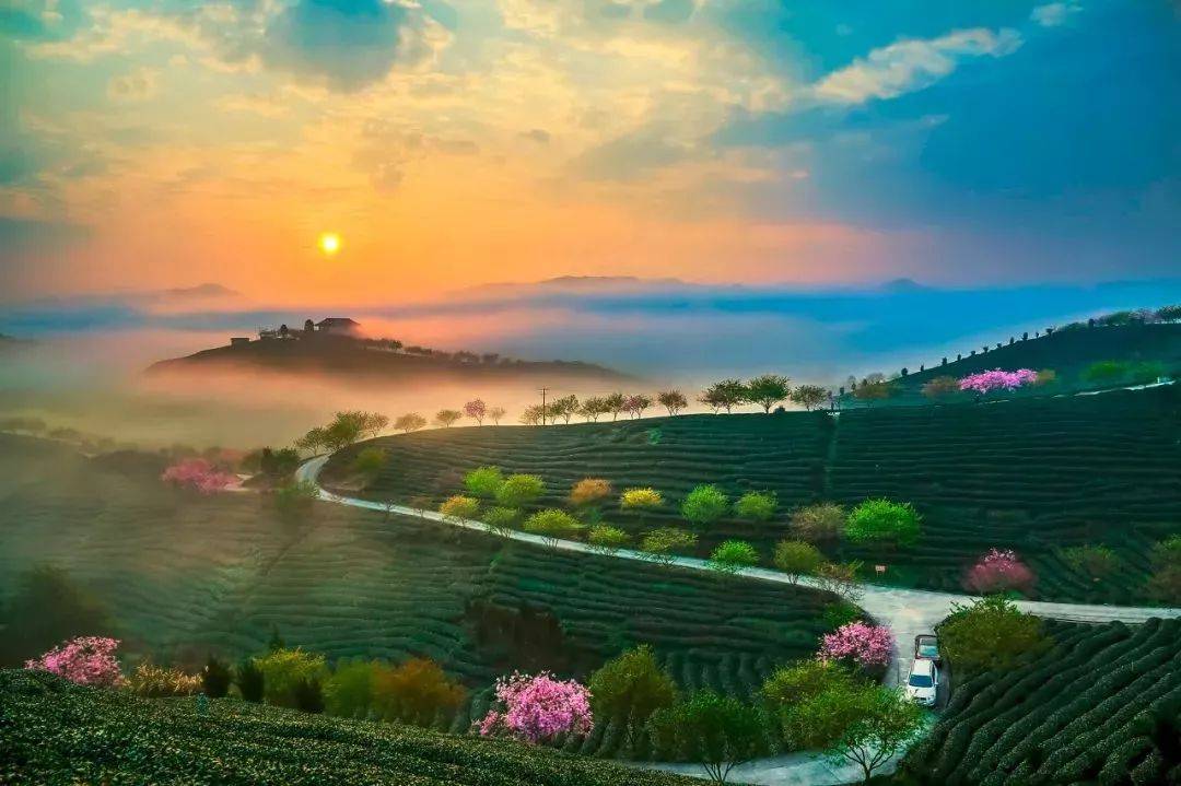 万象更新时,春盼花满枝 | 明日立春