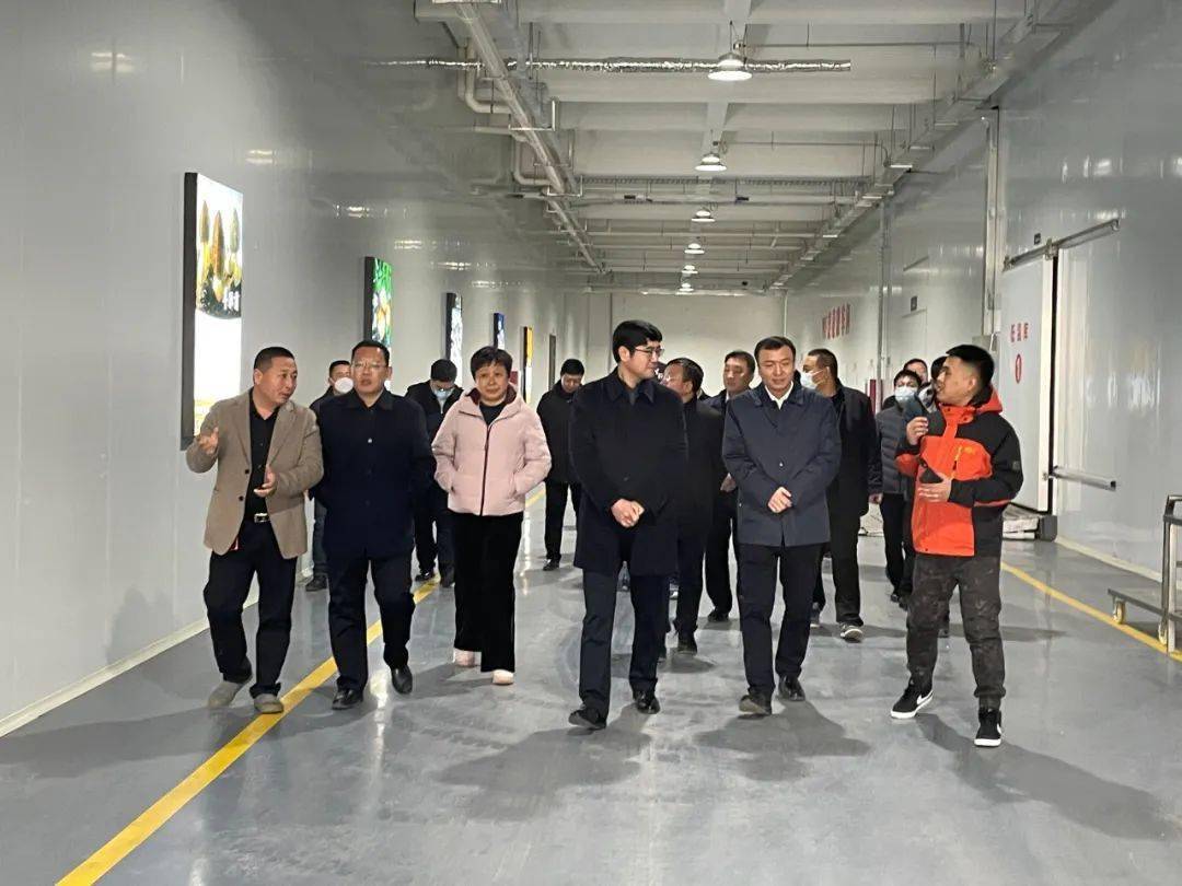 市长张福增带队赴平泉市考察食用菌产业发展_加工_转型_栽培