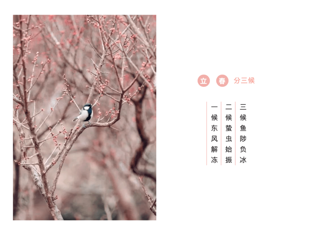 宋61朱淑真《立春》停杯不饮待春来,和气先春动六街.