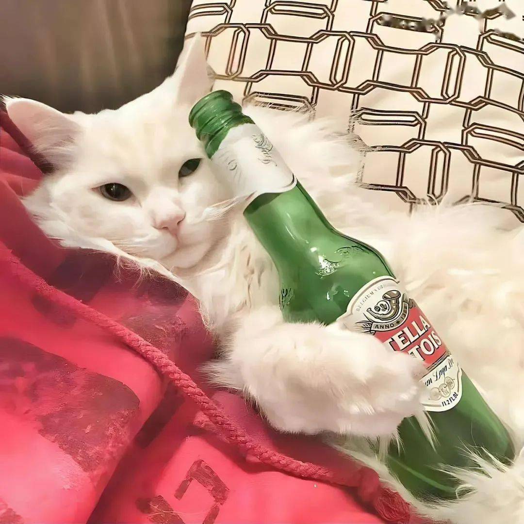 头像| 可堪称为emo天花板的情绪文案_中站_图片_部分