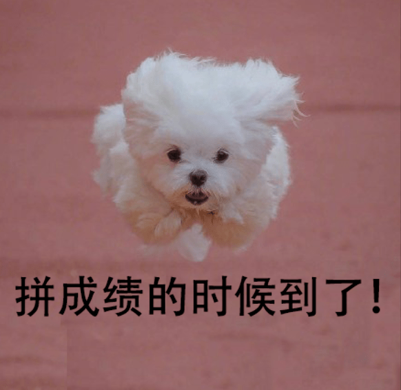 2021杭州中考录取分数线_杭州市区普通高中名额分配招生调整_杭州市区中考项目规范完善