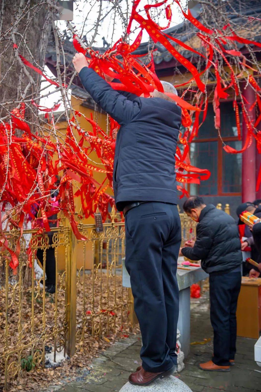 镇江新区人,华山开门集,你去了吗?_庙会_网友_游客
