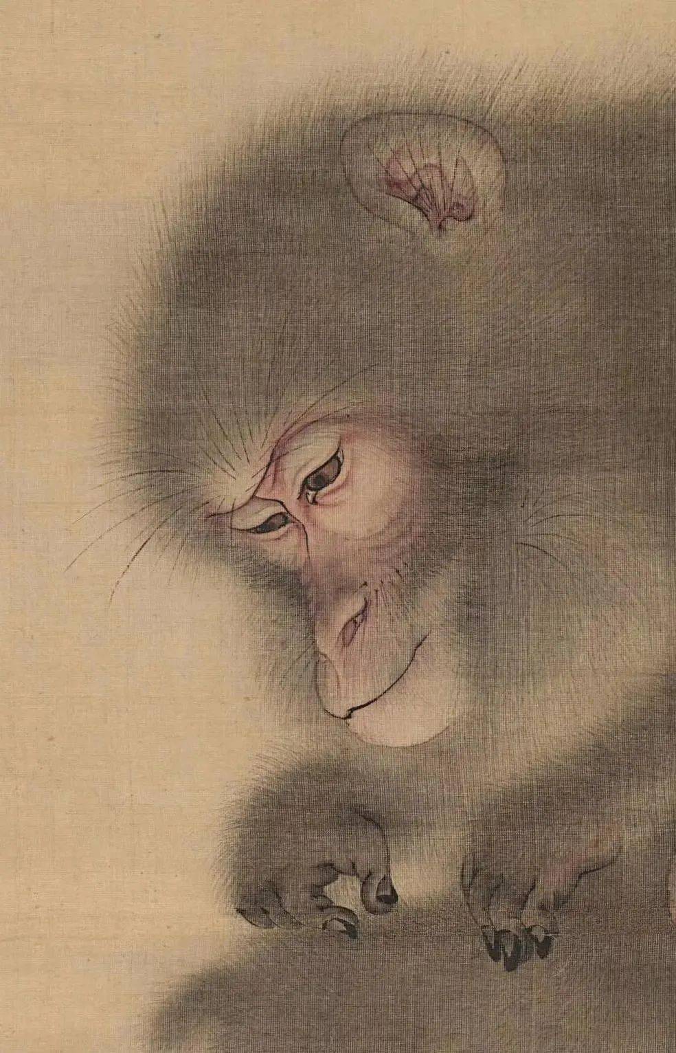 吉(款)猴猫图 台北故宫易元吉 缚猴窃果图 弗利尔美术馆藏蛛网攫猿图