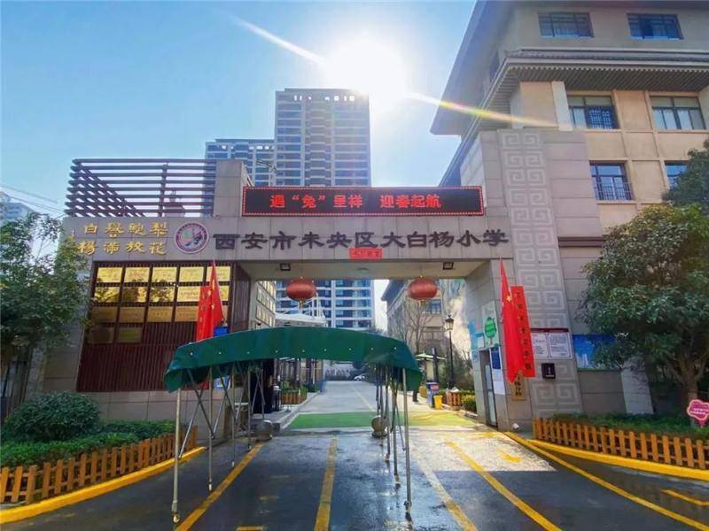 大白杨小学图片