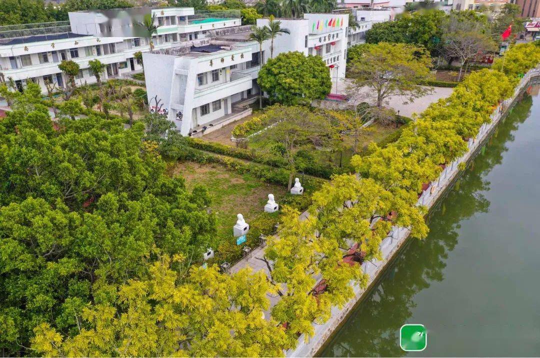 画说"绿美汕头" | 美丽乡村绽新姿_华新村_环境_建设