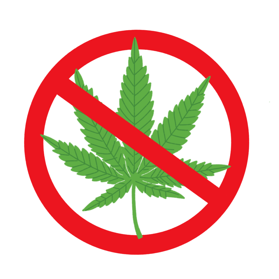 发现毒品原植物怎么办?