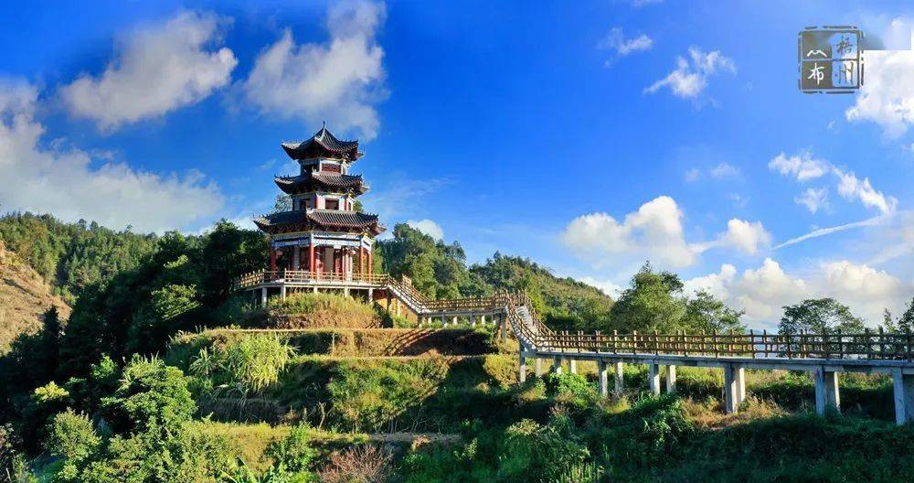 以茶助脱贫 以茶促振兴丨苍梧县大力探索六堡茶产业高质量发展助推